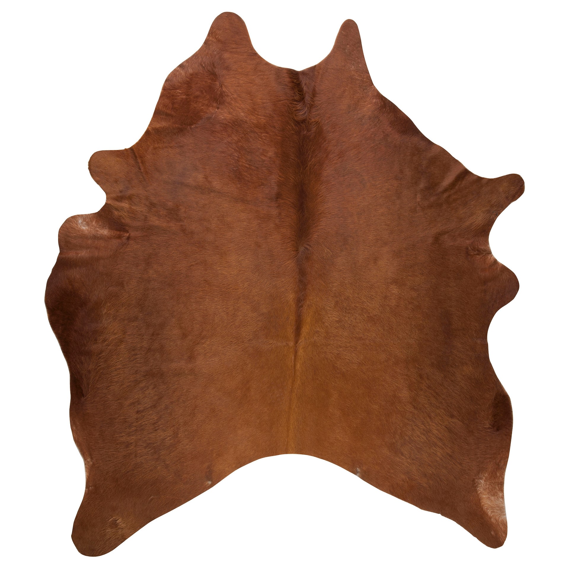 Top Tips For Taking Care Of A Cowhide Or Other Animal Skin Rug